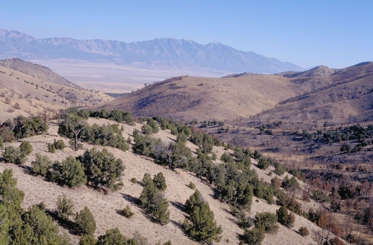 Alpine Loop Scenic Byway
