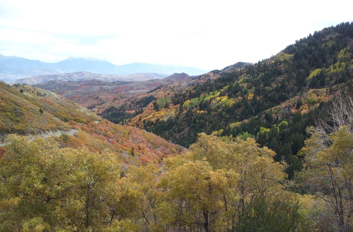 Butterfield Canyon